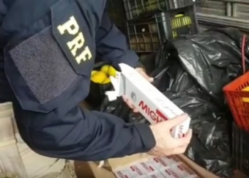 Mais de 200 mil maços de cigarros são apreendidos em carga de melão na BR 343